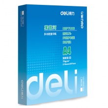 得力（deli） 7401 A4 莱茵河复印纸 70g 500张/包 5包/箱